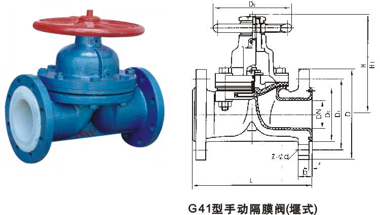 G41F46ķĤ