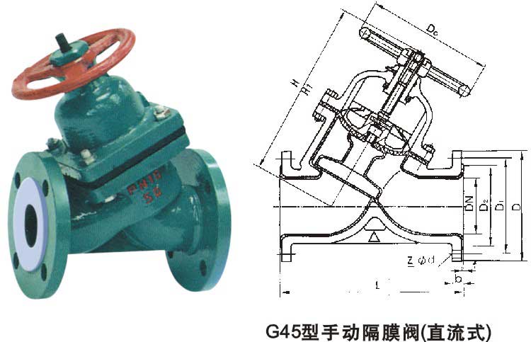 G41F46ķĤ